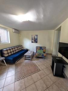 a living room with a blue couch and a tv at Apartmani Dado in Sutomore