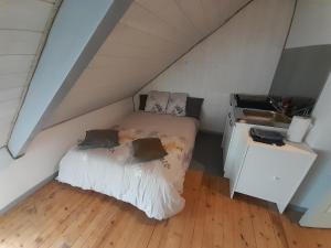 a bedroom with a bed and a sink in a attic at lgbt friendly in Dinan
