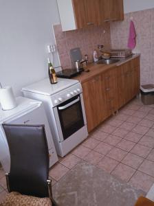 a kitchen with a white stove and a sink at APARTMAN MINnA in Kuršumlija