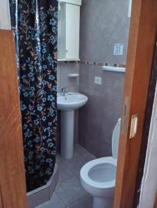 a bathroom with a sink and a toilet and a shower curtain at Casas Nahuilen in San Martín de los Andes