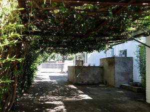 an archway with plants and a building at Leaf & Lark in Bloemfontein +8 photos