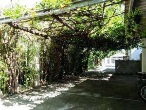 a pergola with plants on a building at Leaf & Lark in Bloemfontein