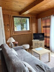 a living room with a couch and a television at Grand Studio cosy in Sallanches