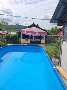 ein Swimmingpool mit einem rosa Sonnenschirm und ein Haus in der Unterkunft Casa Putna in Vidra