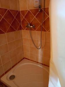 a shower in a bathroom with a toilet at La croce in Letia