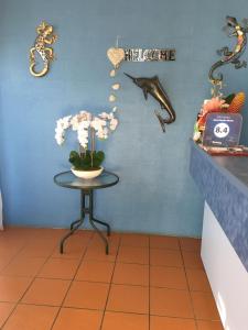 a room with a vase of flowers on the wall at Black Marlin Motel in Innisfail