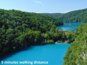 a view of a large blue lake with trees at Plitvice Lower Lakes Rooms in Plitvica Selo
