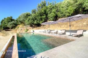 a swimming pool with chairs and umbrellas next to a hill at Casa s - lilina in Tralonca +14 photos