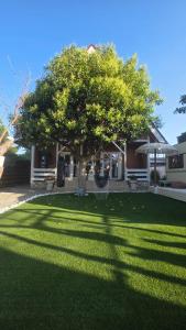 a yard with a tree and a hammock in front of a house at Casa Feia Hostel in Costa da Caparica