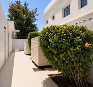 a building with a fence and a bush with flowers at La Plage Bungalow in Dubai