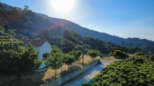 a view of a mountain with a house and trees at Manolates 360 in Manolátes