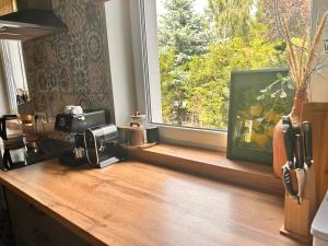a kitchen with a window and a wooden counter top at Malanówka II Radęcin in Radęcin