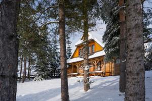 a log cabin in the woods in the snow at Jaworówka na Polnej in Nowy Targ