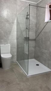 a shower stall in a bathroom with a toilet at Colt de Apuseni in Curăţele +12 photos