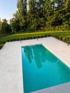 a swimming pool in the middle of a yard at Breite Privée Forest and Pool Retreat in Sighişoara