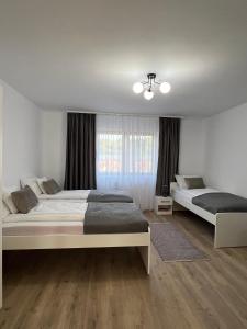 a bedroom with two beds and a window at Colt de Apuseni in Curăţele