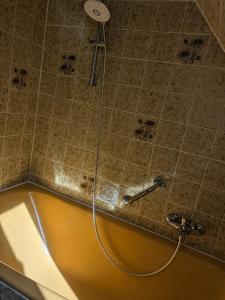 a shower with a hose attached to a tub at Ferienwohnung nahe Nordseeküste in Großheide +13 photos