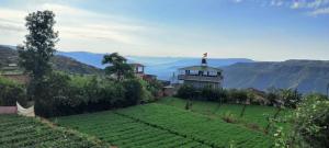 a house sitting on top of a green field at Hotel Green lotus villa mahabaleshwar in Mahabaleshwar