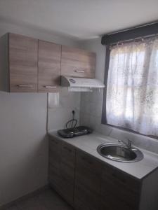 a kitchen with a sink and a window at Georgina Apartments-pool-river in Mesongi