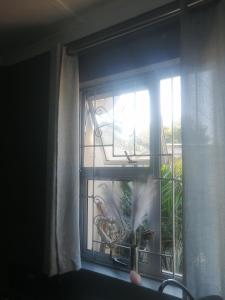 a window with a potted plant in a room at Radiant Residence in Grahamstown