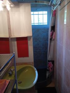 a bathroom with a green sink and a window at WCB Bees in Saint-Vérain +14 photos