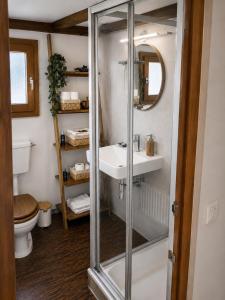a bathroom with a shower and a sink and a toilet at Chalet Montana mit Bergblick in Brunig +19 photos