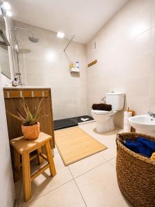 a bathroom with a toilet and a sink at Rincon de Paz in Corralejo