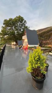 a house sitting on top of a roof at Varattumedu Hill in Vagamon