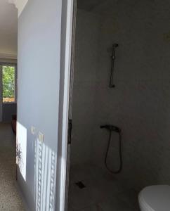 a shower in a bathroom with a toilet at HOTEL - SHORENA in Ureki