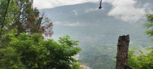 a view of a mountain valley with a tree at Nothing in Kulu
