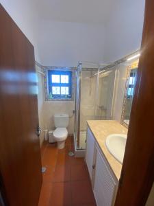 a bathroom with a toilet and a sink at Casa Nova da Corte Salva in Grândola +23 photos