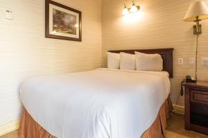 a bedroom with a large white bed in a room at The Guv'nor Inn & Pub in St. John's