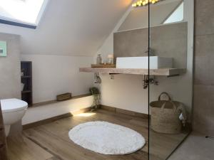 a bathroom with a toilet and a sink and a mirror at Haus mit Herz in Wangerland +61 photos