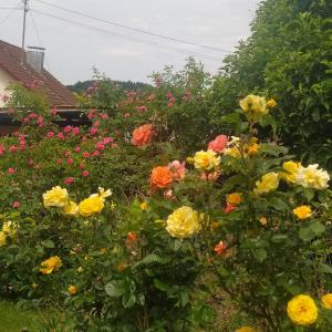 a garden of colorful flowers in front of a house at Ferienwohnung im Krokusweg in Langenneufnach +5 photos
