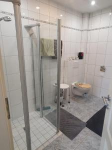 a bathroom with a shower and a toilet at Ferienwohnung Dreiländereck Gronau in Spechtholzhock +13 photos