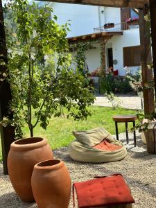 a plant in a pot next to a pillow and a tree at GuestHouse "Shtëpia ime" in Përmet