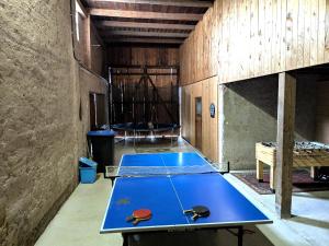 two ping pong tables in a room with ping pong balls at Ferienhof Kraller in Kirchanschöring