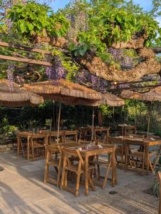 a group of tables and chairs with plants on a wall at Auberge des Salelles - Zarathoustra in Saint-Maurice-dʼIbie +7 photos
