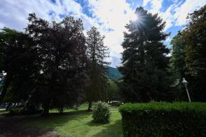 a park with trees and the sun in the sky at Le Parc - Hôtel & Spa in Allevard