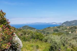a view of the ocean from a hill with flowers at Anatoli Peak Cottage in Skopelos Town
