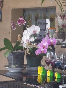 uma mesa de vidro com flores e copos e pássaros em Hospedaje Rampolla's em Volcán