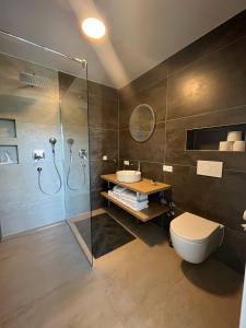 a bathroom with a shower and a toilet and a sink at Apartment by Ela in Alpirsbach
