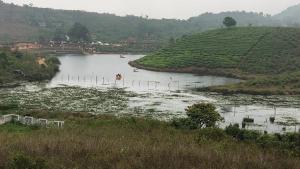 a river with boats in the middle of a field at Happy Stay in Vagamon +6 photos