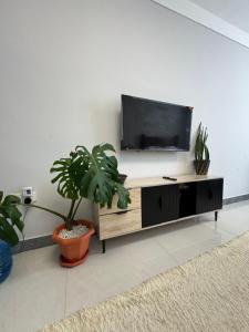 a living room with a flat screen tv and a potted plant at Jambo luxury living in Marimbeti +5 photos