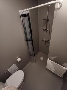 a small bathroom with a shower and a toilet at Double Room 1 with free parking in Saeby in Sæby