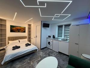 a bedroom with a bed and a sink in it at Mini Studio Aristocrat in Târgovişte