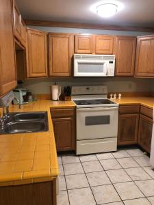 a kitchen with a stove and a microwave at The Shack in Oak Hill