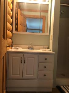 a bathroom with a sink and a mirror at The Shack in Oak Hill +8 photos
