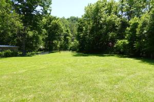 a large grass field with trees in the background at The Shack in Oak Hill