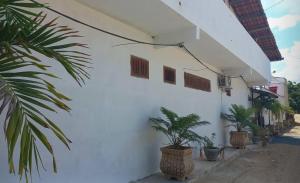 a white building with potted plants on the side of it at Pousada Vela dos Ventos in Praia de Moitas